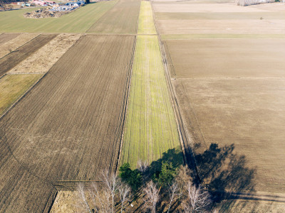 Cisza zieleń i szybki dojazd do Łodzi Nowy Bedoń - Nowy Bedoń  -
Łódzkie Zdjęcie nr 2