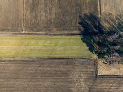 Cisza zieleń i szybki dojazd do Łodzi Nowy Bedoń - Nowy Bedoń  -
Łódzkie Zdjęcie nr 5