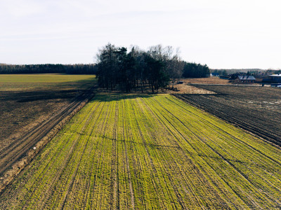 Cisza zieleń i szybki dojazd do Łodzi Nowy Bedoń - Nowy Bedoń  -
Łódzkie Zdjęcie nr 6