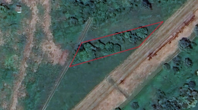 Twoje 900 m nad samą Wisłą - Nowy Kamień  -
Świętokrzyskie Zdjęcie nr 2