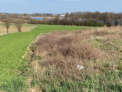Wyjątkowa działka nad jeziorem Skorzęcin - Wiekowo  - Wielkopolskie