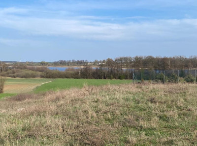 Wyjątkowa działka nad jeziorem Skorzęcin - Wiekowo  -
Wielkopolskie Zdjęcie nr 2