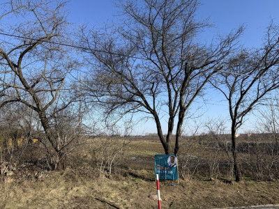 Natolin Twoja przepustka do szybkich tras 1572m2 - Natolin  -
Łódzkie Zdjęcie nr 2