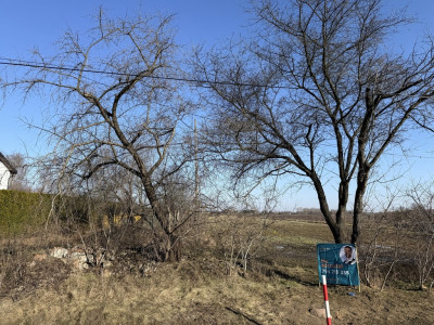 Natolin Twoja przepustka do szybkich tras 1572m2 - Natolin  -
Łódzkie Zdjęcie nr 9