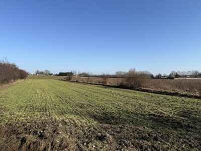 Natolin Gdzie szum trasy zwiastuje sukces 335ha - Natolin  -
Łódzkie Zdjęcie nr 13