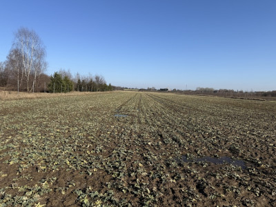 Natolin Gdzie szum trasy zwiastuje sukces 335ha - Natolin  - Łódzkie