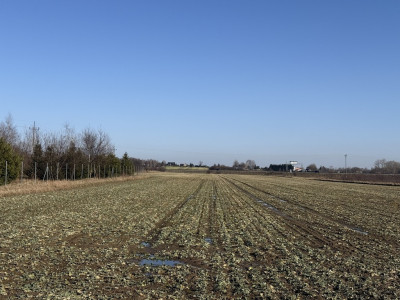 Natolin Gdzie szum trasy zwiastuje sukces 335ha - Natolin  -
Łódzkie Zdjęcie nr 6