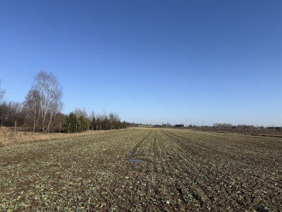 Natolin Gdzie szum trasy zwiastuje sukces 335ha - Natolin  -
Łódzkie Zdjęcie nr 7