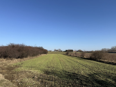 Natolin Gdzie szum trasy zwiastuje sukces 335ha - Natolin  -
Łódzkie Zdjęcie nr 8