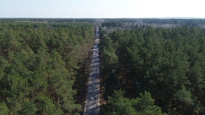 Działka budowlana 1200 m Helenów MPZP - Helenów  -
Łódzkie Zdjęcie nr 12