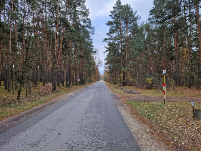 REZERWACJA - Helenów  -
Łódzkie Zdjęcie nr 5