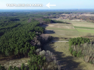 Malownicza działka w pobliżu Żar - Żary  -
Lubuskie Zdjęcie nr 6