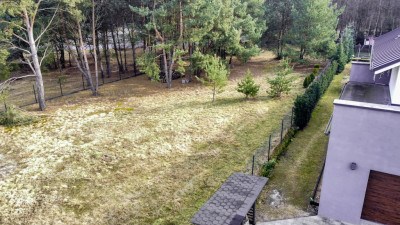 Urokliwa działka porośnięta sosnami - Rakownia  -
Wielkopolskie Zdjęcie nr 13