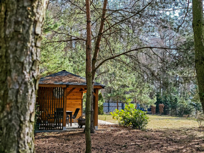 Urokliwa działka porośnięta sosnami - Rakownia  -
Wielkopolskie Zdjęcie nr 2