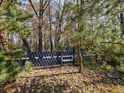 Urokliwa działka porośnięta sosnami - Rakownia  -
Wielkopolskie Zdjęcie nr 3