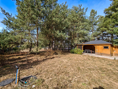 Urokliwa działka porośnięta sosnami - Rakownia  -
Wielkopolskie Zdjęcie nr 5