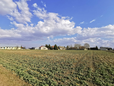 REZERWACJA - Działka z WZ  Studzian  766 a - Studzian  -
Podkarpackie Zdjęcie nr 2