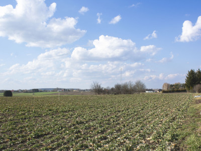 REZERWACJA - Działka z WZ  Studzian  766 a - Studzian  -
Podkarpackie Zdjęcie nr 3