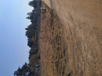 Rosanów - działka budowlana - Rosanów  -
Łódzkie Zdjęcie nr 10