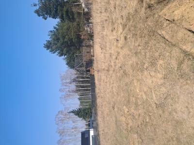 Rosanów - działka budowlana - Rosanów  -
Łódzkie Zdjęcie nr 11