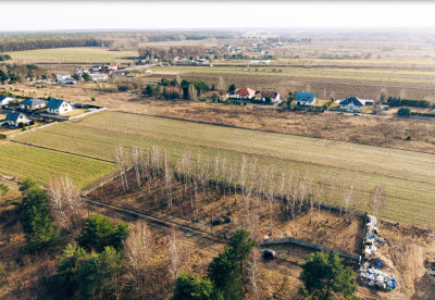 Działka dla Twojego wymarzonego domu - Borowa  -
Łódzkie Zdjęcie nr 4