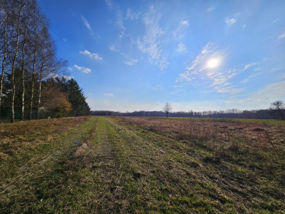Działka pod Twój dom z MPZP - gm Zelów - Grabostów  -
Łódzkie Zdjęcie nr 2