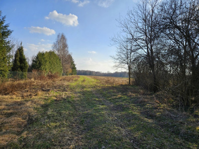 Działka pod Twój dom z MPZP - gm Zelów - Grabostów  -
Łódzkie Zdjęcie nr 4