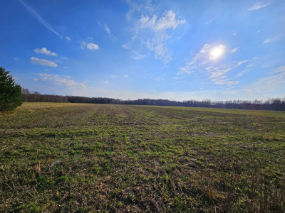 Działka pod Twój dom z MPZP - gm Zelów - Grabostów  -
Łódzkie Zdjęcie nr 7