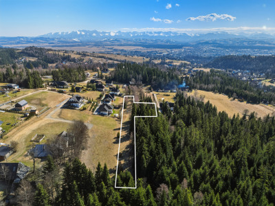 Nowy Targ Szuflów - 39 ar luksusu w otulinie lasu - Nowy Targ  -
Małopolskie Zdjęcie nr 3