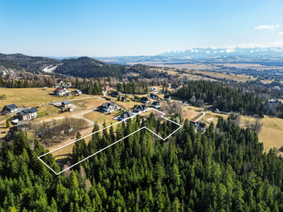 Nowy Targ Szuflów - 39 ar luksusu w otulinie lasu - Nowy Targ  -
Małopolskie Zdjęcie nr 7