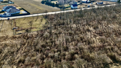 Tak tanio jeszcze nie było - Dąbrówka Wielka  -
Łódzkie Zdjęcie nr 13