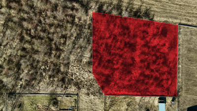 Tak tanio jeszcze nie było - Dąbrówka Wielka  -
Łódzkie Zdjęcie nr 3