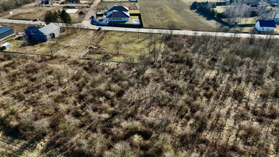 Tak tanio jeszcze nie było - Dąbrówka Wielka  -
Łódzkie Zdjęcie nr 7