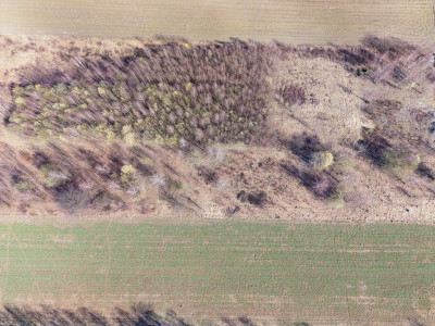 Działka budowlana 966m Justynów  MPZP - Justynów  -
Łódzkie Zdjęcie nr 10