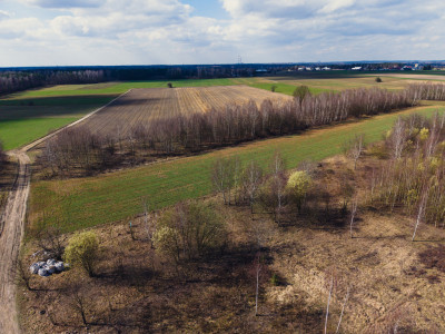 Działka budowlana 966m Justynów  MPZP - Justynów  -
Łódzkie Zdjęcie nr 4
