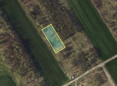 Działka budowlana 966m Justynów  MPZP - Justynów  -
Łódzkie Zdjęcie nr 8