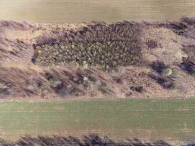 Działka budowlana 966m Justynów  MPZP - Justynów  -
Łódzkie Zdjęcie nr 9