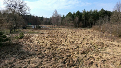 Działka inwestycyjna 9800 m przy A4 DK94 40złm2 - Wykroty  -
Dolnośląskie Zdjęcie nr 11