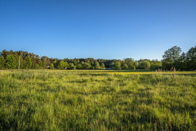 Działka budowlana w sąsiedztwie jeziora - Boszkowo  -
Wielkopolskie Zdjęcie nr 10