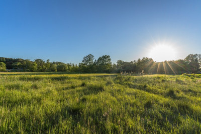 Działka budowlana w sąsiedztwie jeziora - Boszkowo  -
Wielkopolskie Zdjęcie nr 11