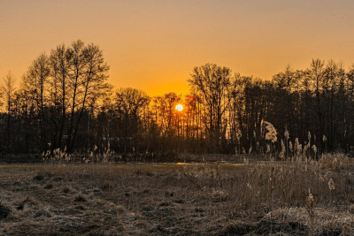 Działka budowlana w sąsiedztwie jeziora - Boszkowo  -
Wielkopolskie Zdjęcie nr 2