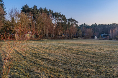 Działka budowlana w sąsiedztwie jeziora - Boszkowo  -
Wielkopolskie Zdjęcie nr 4