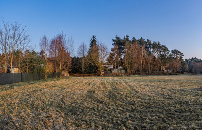 Działka budowlana w sąsiedztwie jeziora - Boszkowo  -
Wielkopolskie Zdjęcie nr 5