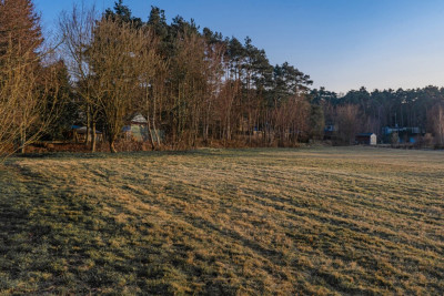 Działka budowlana w sąsiedztwie jeziora - Boszkowo  -
Wielkopolskie Zdjęcie nr 6