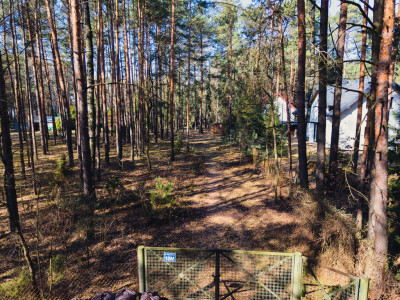 Leśna enklawa w Rosanowie - Rosanów  -
Łódzkie Zdjęcie nr 10