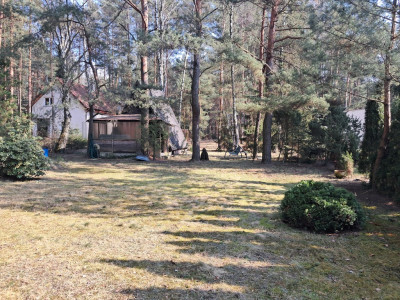 Leśna enklawa w Rosanowie - Rosanów  - Łódzkie