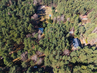 Leśna enklawa w Rosanowie - Rosanów  -
Łódzkie Zdjęcie nr 4