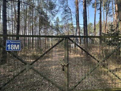 Leśna enklawa w Rosanowie - Rosanów  -
Łódzkie Zdjęcie nr 6