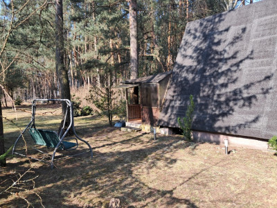 Leśna enklawa w Rosanowie - Rosanów  -
Łódzkie Zdjęcie nr 8