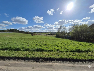 Działka przy ul Na wzgórzu - Przytok gm Zabór - Przytok  -
Lubuskie Zdjęcie nr 7